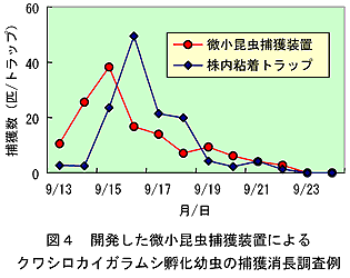 図4.開発した微小昆虫捕獲装置によるクワシロカイガラムシ孵化幼虫の捕獲消長調査例