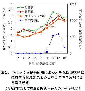 図2.べにふうき緑茶飲用によるスギ花粉症状悪化に対する軽減効果とショウガエキス添加による増強効果