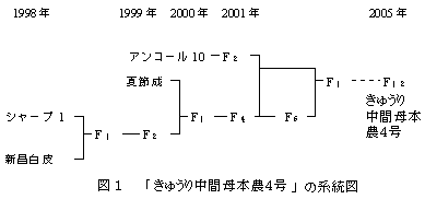 図1 「キュウリ安濃3号」の系統図