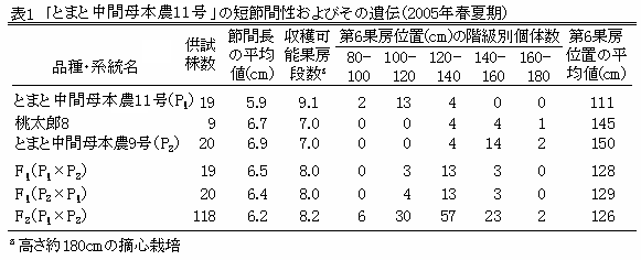 表1 「トマト安濃11号」の短節間性およびその遺伝