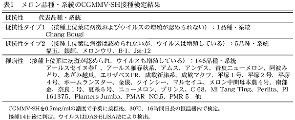 表1 メロン品種・系統のDGMMV-SH接種検定結果