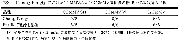 表2 「Chang Bougi」におけるCGMMVおよびKGMMV接種後の接種上位葉の病徴発現