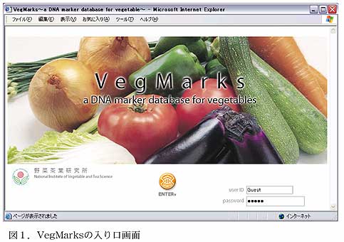 図1.VegMarksの入り口画面