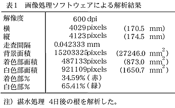 表1 画像処理ソフトウェアによる解析結果