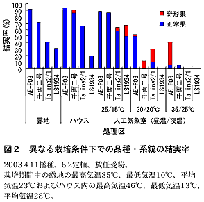 図2 異なる栽培条件下での品種・系統の結実率