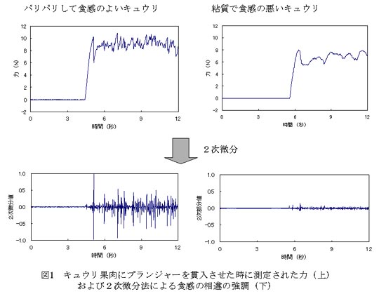 図1 キュウリ果肉にプランジャーを貫入させた時に測定された力(上)および2時微分法による食感の相違の強調(下)