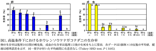 図1. 高温条件下におけるホウレンソウケナガコナダニの生存率