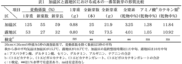 表1 加温区と露地区における成木の一番茶新芽の形質比較