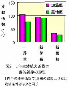 図2 1年生鉢植え茶樹の一番茶新芽の形質