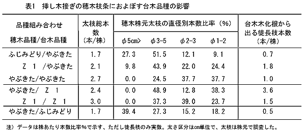 表1 挿し木接ぎの穂木枝条におよぼす台木品種の影響