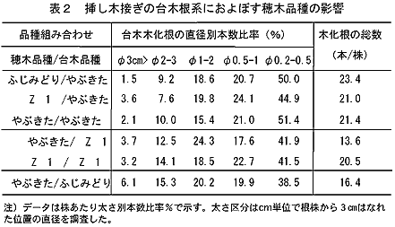 表2 挿し木接ぎの台木根系におよぼす穂木品種の影響