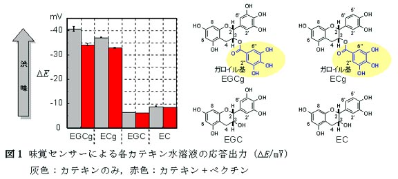 図1 味覚センサーによる各カテキン水溶液の応答出力(?E/mV) 灰色:カテキンのみ,赤色:カテキン+ペクチン