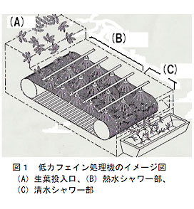 図1 低カフェイン処理機のイメージ図(A)生葉投入口、(B)熱水シャワー部、(C)清水シャワー部