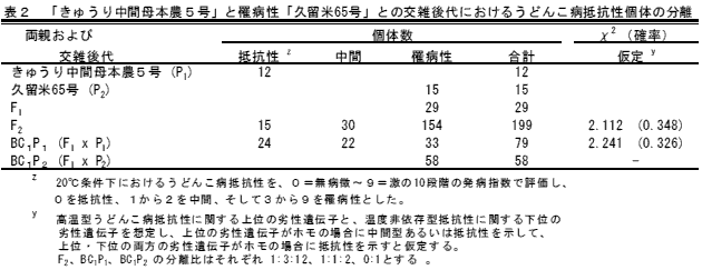 表2 「キュウリ久安1号」と罹病性「久留米65号」との交雑後代におけるうどんこ病抵抗性個体の分離