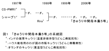 図1 「きゅうり中間母本農5号」の系統図