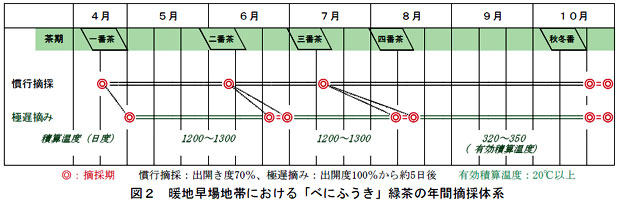 図2 暖地早場地帯における「べにふうき」緑茶の年間摘採体系