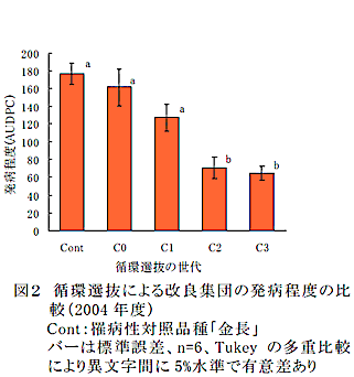図2 循環選抜による改良集団の発病程度の比較(2004 年度)