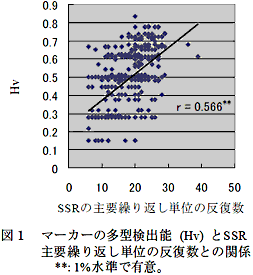 図1 マーカーの多型検出能(Hv) とSSR主要繰り返し単位の反復数との関係