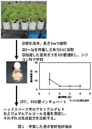 図1 考案した湛水害耐性評価法