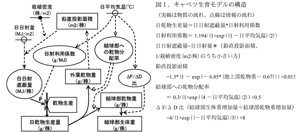 図1.キャベツ生育モデルの構造