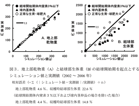 図3.地上部乾物重(A)と結球部生体重(B)の結球開始期を起点とするシミュレーション値と実測値(2002 ～2006年)