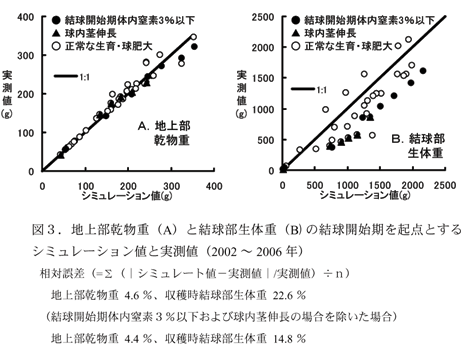 図3.地上部乾物重(A)と結球部生体重(B)の結球開始期を起点とするシミュレーション値と実測値(2002 ~2006年)