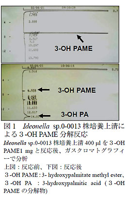 図1 Ideonella sp.0-0013 株培養上清による3-OH PAME 分解反応