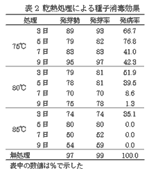 表2 乾熱処理による種子消毒効果