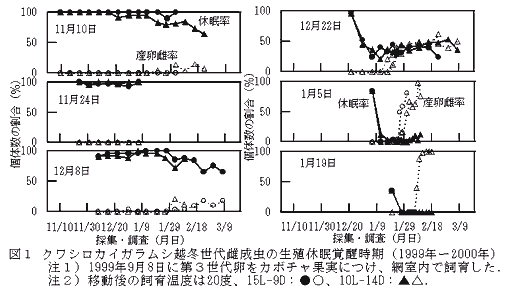 図1.クワシロカイガラムシ越冬世代雌成虫の生殖休眠覚醒時期