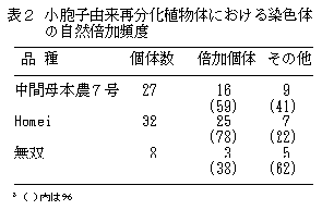 表2.小胞子由来再分化植物における染色体の自然倍加頻度