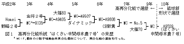 図1.高再分化能系統'はくさい中間母本農7号'の来歴