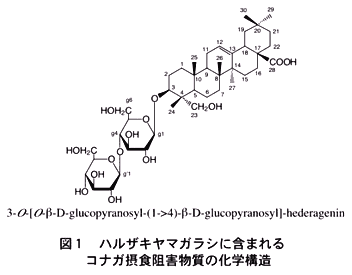 図1.ハルザキヤマガラシに含まれるコナガ摂食阻害物質の化学構造