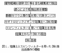 図1.珪藻土とスピンフィルターを用いたDNA抽出法操作の概略