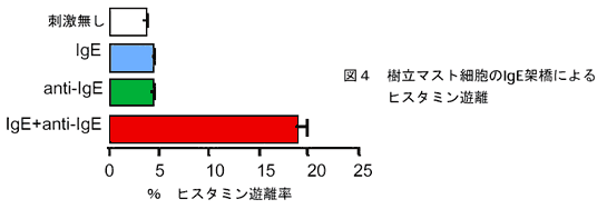 図4 樹立マスト細胞のIgE架橋によるヒスタミン遊離