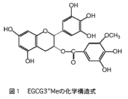 図1 EGCG3"Meの化学構造式