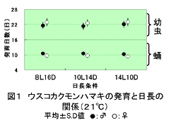 図1.ウスコカクモンハマキの発育と日長の関係(21°C)