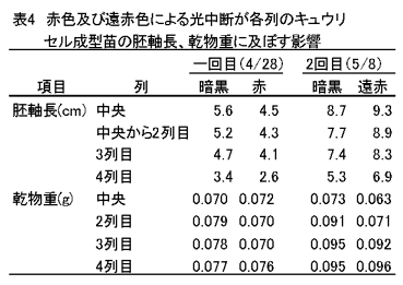 表4 赤色及び遠赤色による光中断が各列のキュウリセル成型苗の胚軸長、乾物重に及ぼす影響