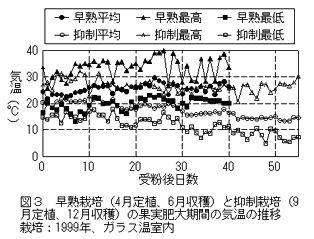 図3 早熟栽培(4月定植、6月収穫)と抑制栽培(9 月定植、12月収穫)の果実肥大期間の気温の推移 栽培:1999年、ガラス温室内