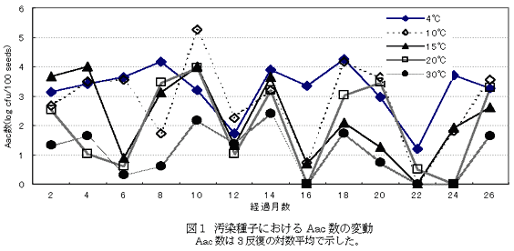 図1.汚染種子のおけるAac数の変動