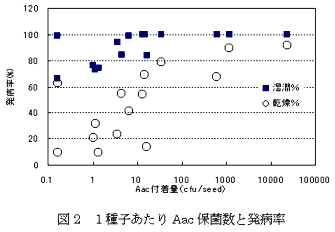 図2.1種子あたりAac保菌数と発病率