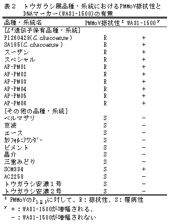 表2 トウガラシ属品種・系統におけるPMMoV抵抗性とDNAマーカー(WA31-1500)の有無