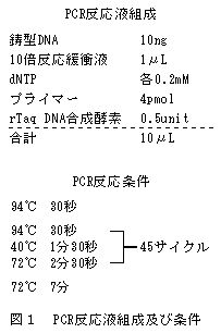 図1 PCR反応液組成及び条件