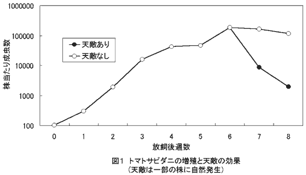 図1.トマトサビダニの増殖と天敵の効果