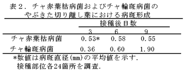 表2. チャ赤葉枯病菌およびチャ輪斑病菌のやぶきた切り離し葉における病斑形成