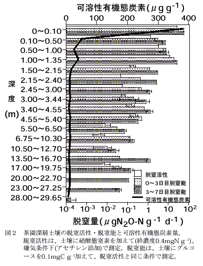 図2 茶園深層土壌の脱窒活性・脱窒能と可溶性有機態炭素量。