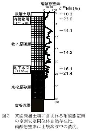 図3 茶園深層土壌に含まれる硝酸態窒素の窒素安定同位体自然存在比。