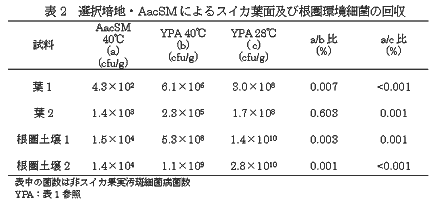 表2 選択培地・AacSM によるスイカ葉面及び根圏環境細菌の回収