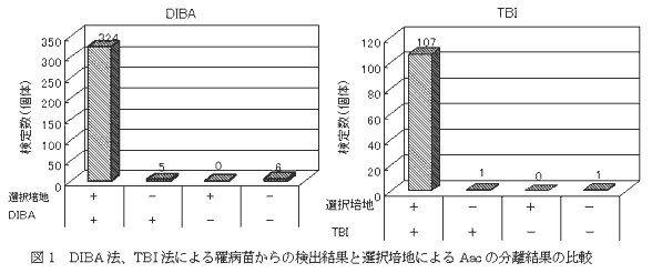 図1 DIBA 法、TBI 法による罹病苗からの検出結果と選択培地によるAac の分離結果の比較