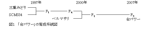 図1 「台パワー」の育成系統図