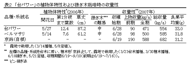 表2 「トウガラシ安濃4号」の植物体特性および接ぎ木栽培時の収量性